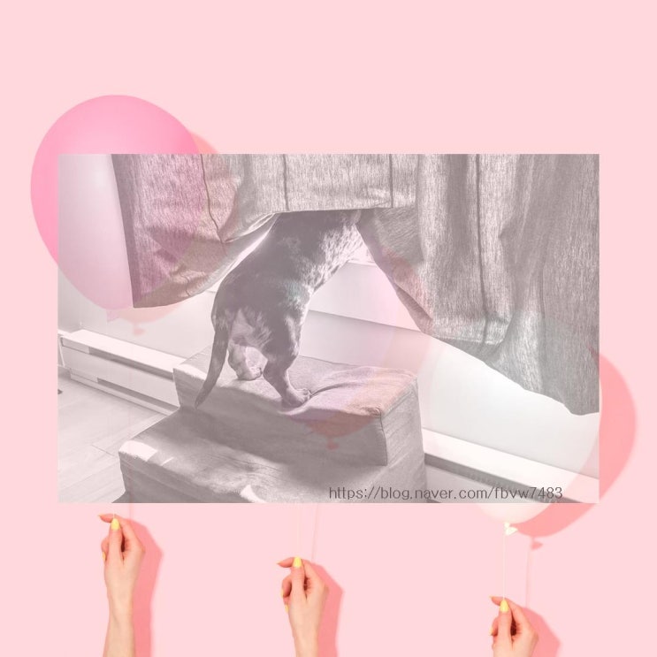  고관절 피로골절: 원인, 증상, 치료법