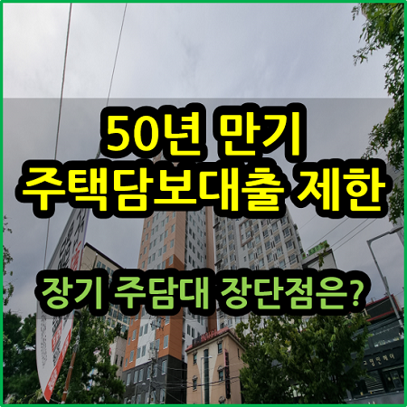  50년 만기 주택담보대출 장기 주담대 장단점