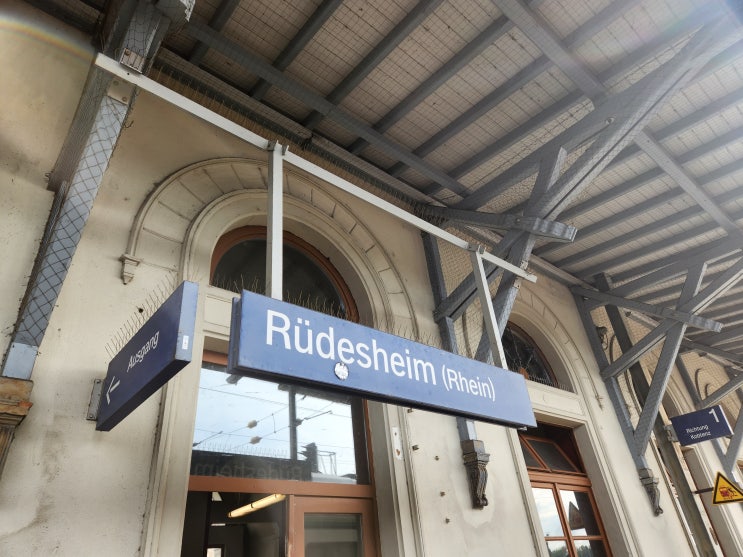 독일 뤼데스하임 Rüdesheim I 당일치기 링투어 Ringtour 다녀오다
