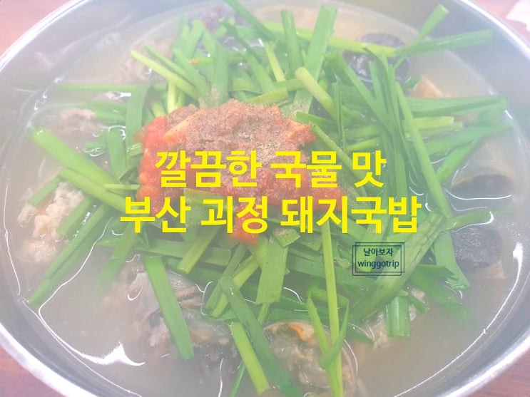  부산역 돼지국밥 맛집 괴정 돼지국밥/ 주차