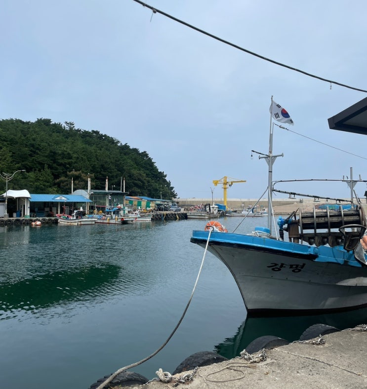  [강원도 고성 여행] 1일차, 백도수산 / 부미식당 / 자작도해수욕장 / 백도SEA