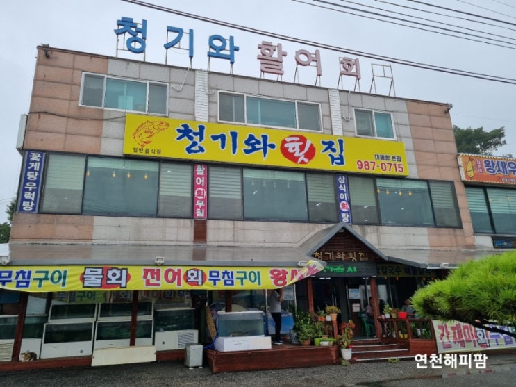  김포 대명항 맛집 꽃게찜 전어구이 농어회 청기와횟집
