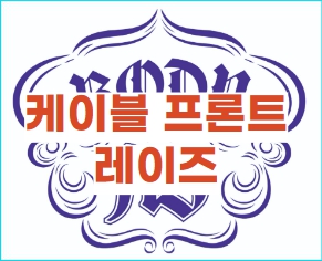 전면 삼각근 운동 케이블 프론트 레이즈 효과 및 주의사항
