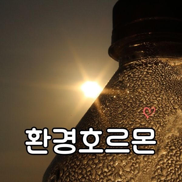  환경호르몬 BPA 제대로 알고 대처하기