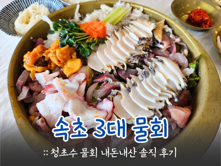 속초 3대 물회 맛집 :: 청초수물회 본점 솔직 후기
