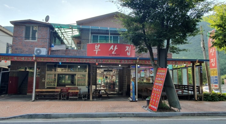  운문사맛집 신원리매운탕_부산집