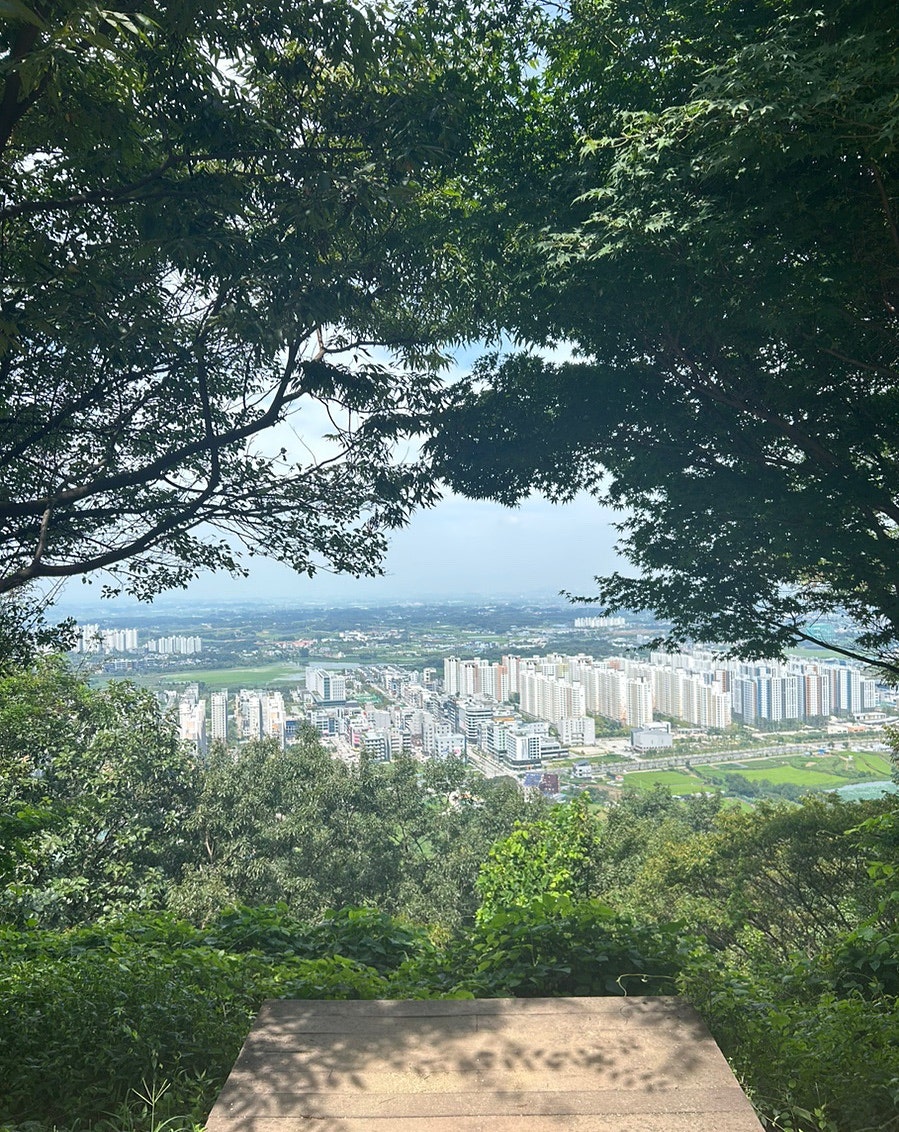 전주콩나루콩나물국밥 서곡점 사진 4