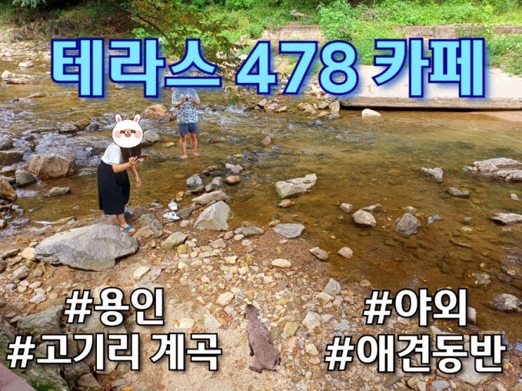  [용인 카페] 고기리 계곡에 발담그는 테라스 478 야외 애견동반가능