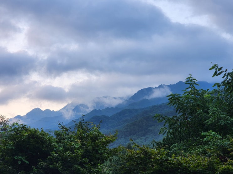 설악산 신선대 다녀왔습니다.