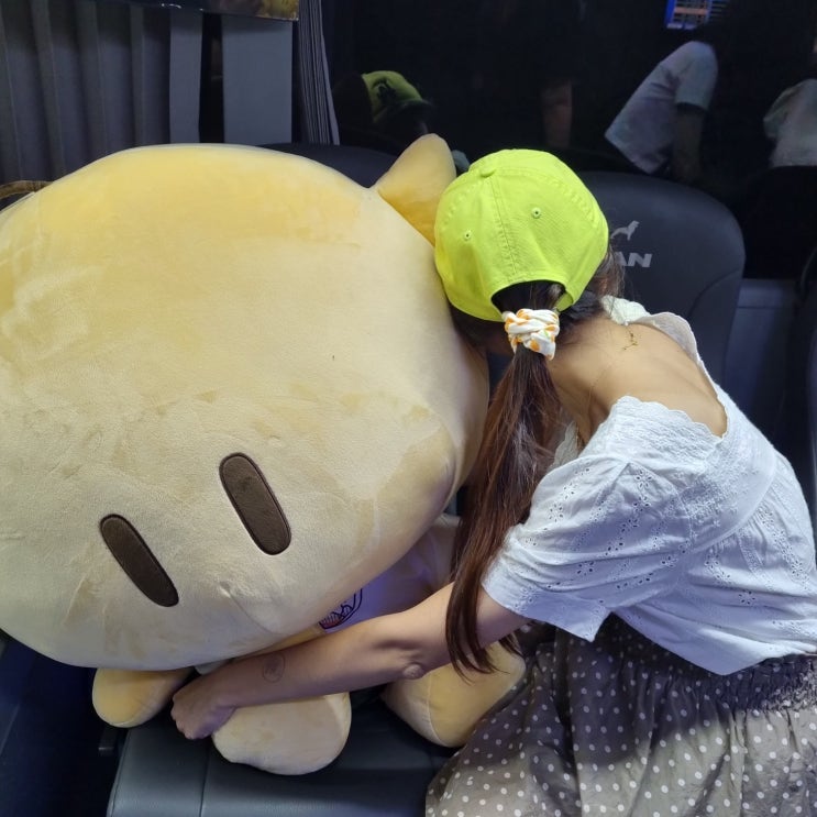  대전관광코스 이응노미술관 한빛탑음악분수 대전 야경 드라이브 야간 시티투어버스