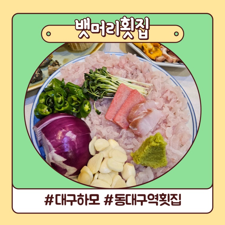 대구 하모 뱃머리횟집 자연산 회 배부른 후기 대구 하모 뱃머리횟집 자연산 회 배부른 후기