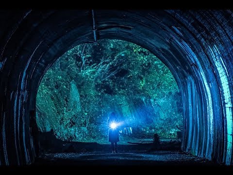 1988년 일본의 이누나키(犬鳴) 터널 살인사건