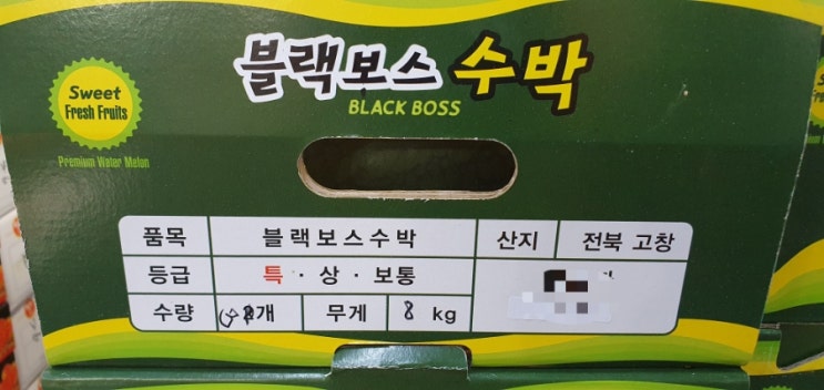  블랙보스수박 씨앗, 블랙망고수박 씨앗