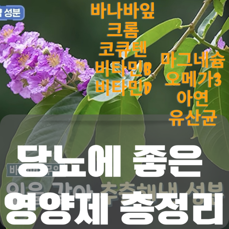  당뇨환자 필수 영양제ㅡ당뇨에 안좋은 영양제,당뇨약 먹으면서 영양제 먹어도 되나요?당뇨에 좋은 영양제 추천