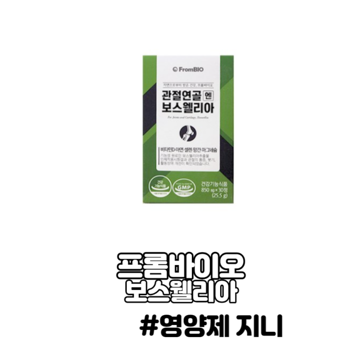 프롬바이오 보스웰리아 관절 연골 염증 항산화 면역력 프롬바이오 보스웰리아 관절 연골 염증 항산화 면역력