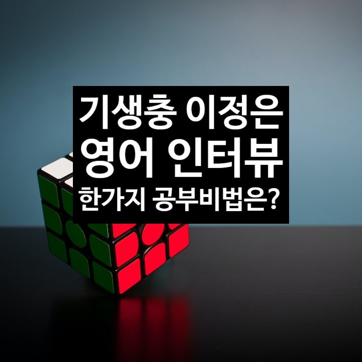 성인 영어공부 | 이정은 배우 영화 기생충 영어 인터뷰