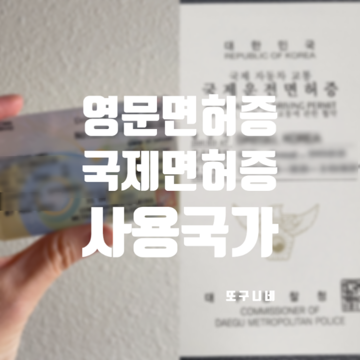  국제운전면허증 영문운전면허증 국가 영문면허증 미국 캐나다 사용 주의사항 정리