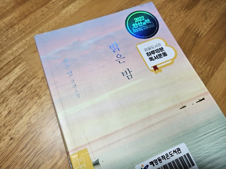  [책리뷰] 밝은밤 -최은영, 따뜻한 인연으로 고된 삶을 쓰다듬는 이야기