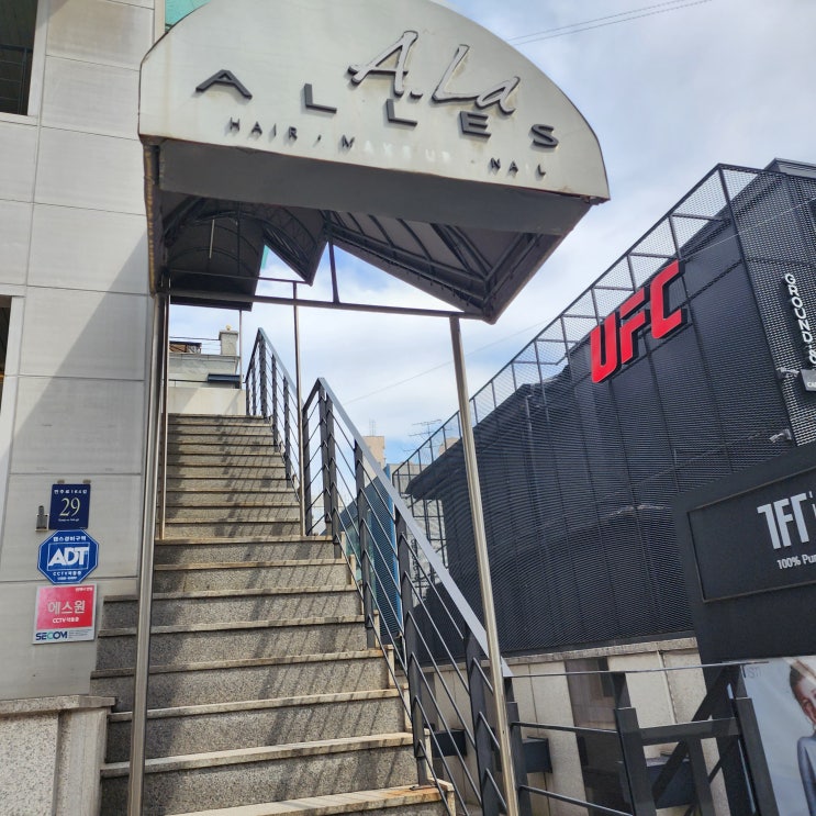  [서울 압구정] 압구정로데오역 아라알레스 테슬컷맛집 여자단발머리 추천