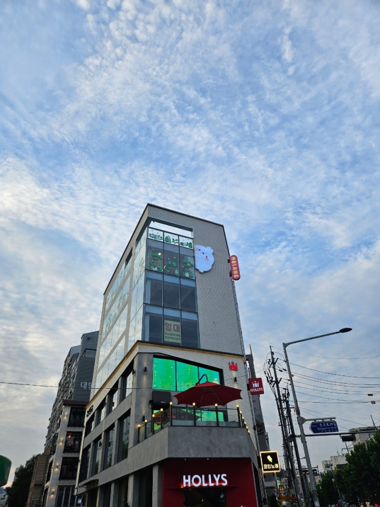  [서울] 홍대 연남동 몰랑이 팝업스토어 '몰랑갤러리' 홍대 연남동 실내데이트 추천