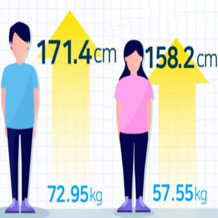 대한민국 남자 여자 평균 키 몸무게: 패션과 뷰티의 새로운 관점 계산기