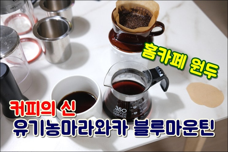  커피의신 홈카페원두 유기농마라와카 블루마운틴 신선하고 맛있는원두 추천