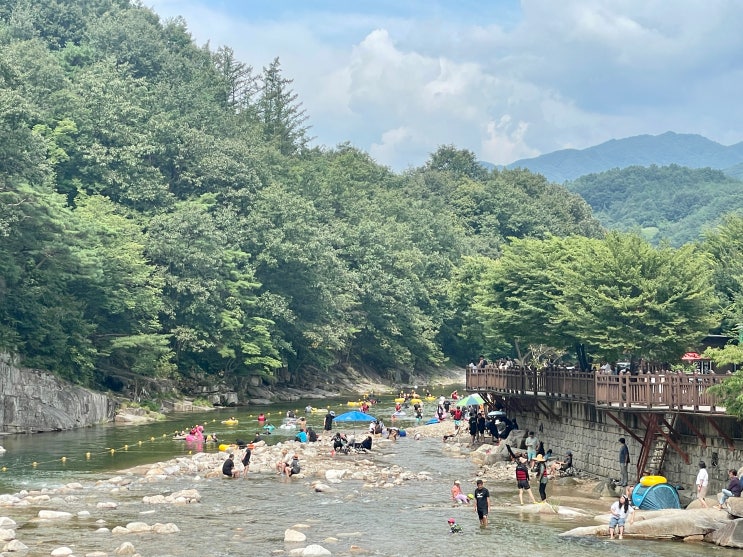  [충북] 충주호 뷰 탄지리 카페, 단양 사인암계곡 정보(주차 및 취사)