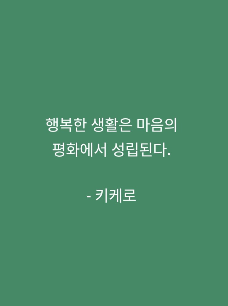 오후의 비타민 오후의 비타민