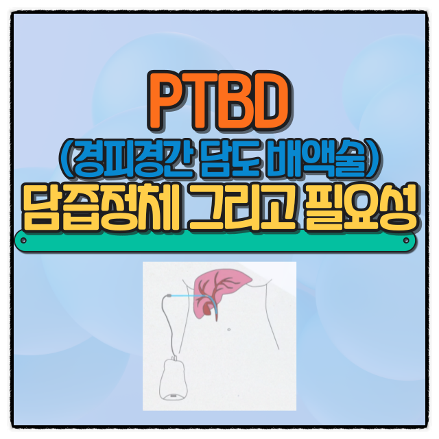 PTBD 경피경간 담도 배액술 목적