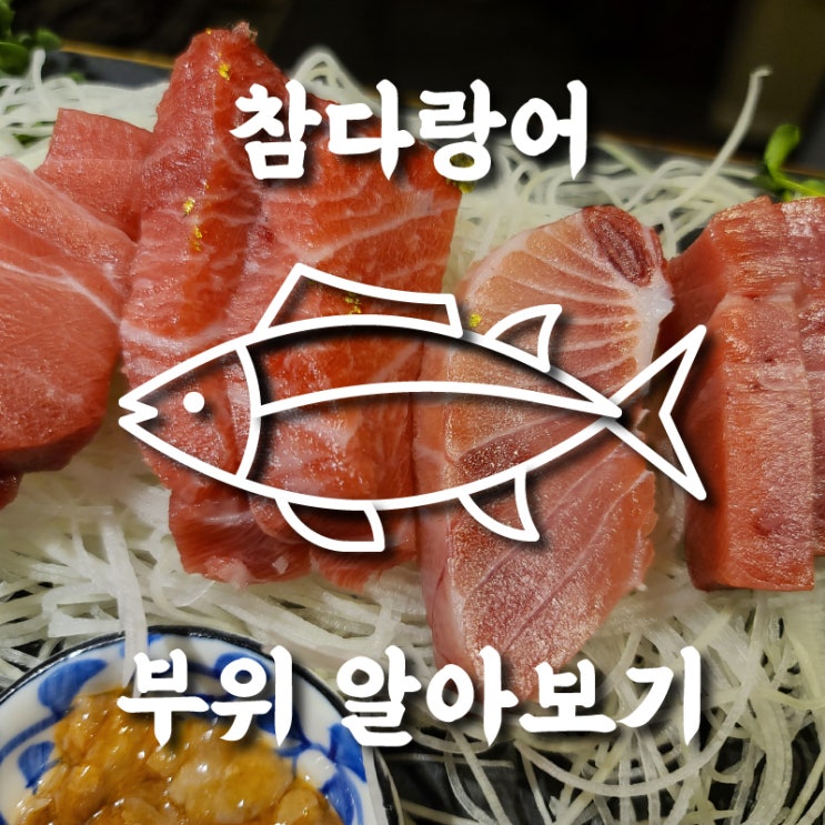  고급 참치회 맛집인가 구별하기 위해 참다랑어(혼마구로) 참치집 부위 알아보기