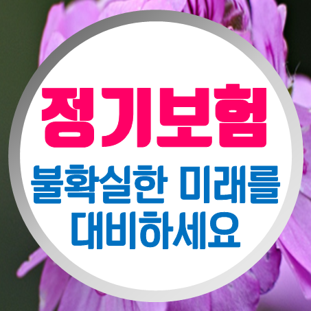  정기보험비교: 건강한 당신과 유병자정기보험에 대한 모든 것