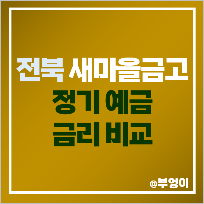 전북 새마을금고 정기 예금 금리 비교 이율 높은 특판 정읍 전주 김제 전북 새마을금고 정기 예금 금리 비교 이율 높은 특판 정읍 전주 김제