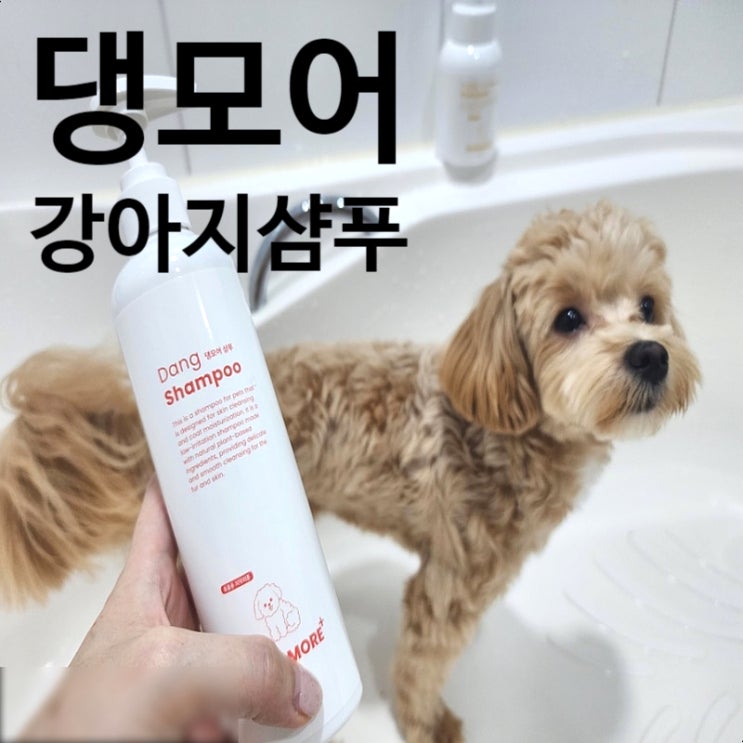 강아지샴푸 반려동물용품 댕모어 애견샴푸 직접 목욕 사용후기