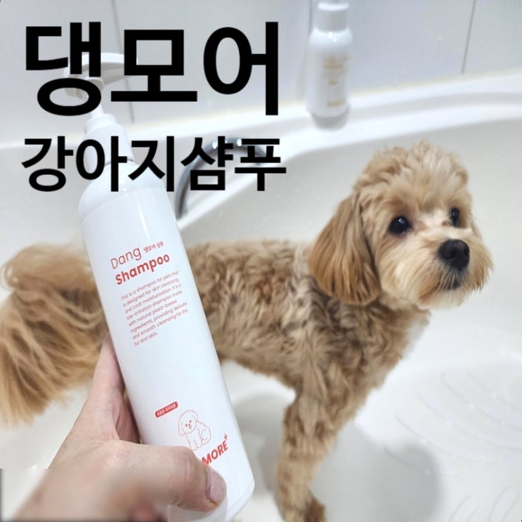  강아지샴푸 반려동물용품 댕모어 애견샴푸 직접 목욕 사용후기