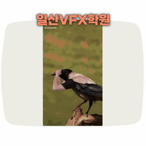 일산VFX학원 :: 너만 모르는 특수효과 세상 (特殊)