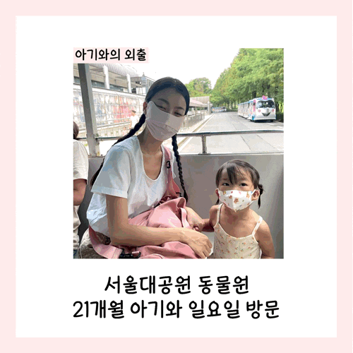  서울대공원 동물원 21개월 아기와 일요일 방문(주차, 입장료, 코끼리 열차)