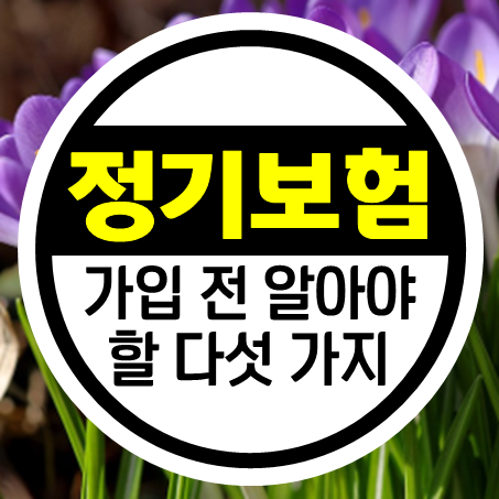  정기보험추천, 정기사망보험 가입하기 전에 꼭 알아야 할 5가지!