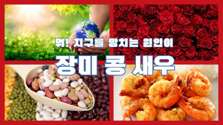  공정무역을 통한 기후위기 해결 위해 의식있는 소비 아시아공정무역네트워크