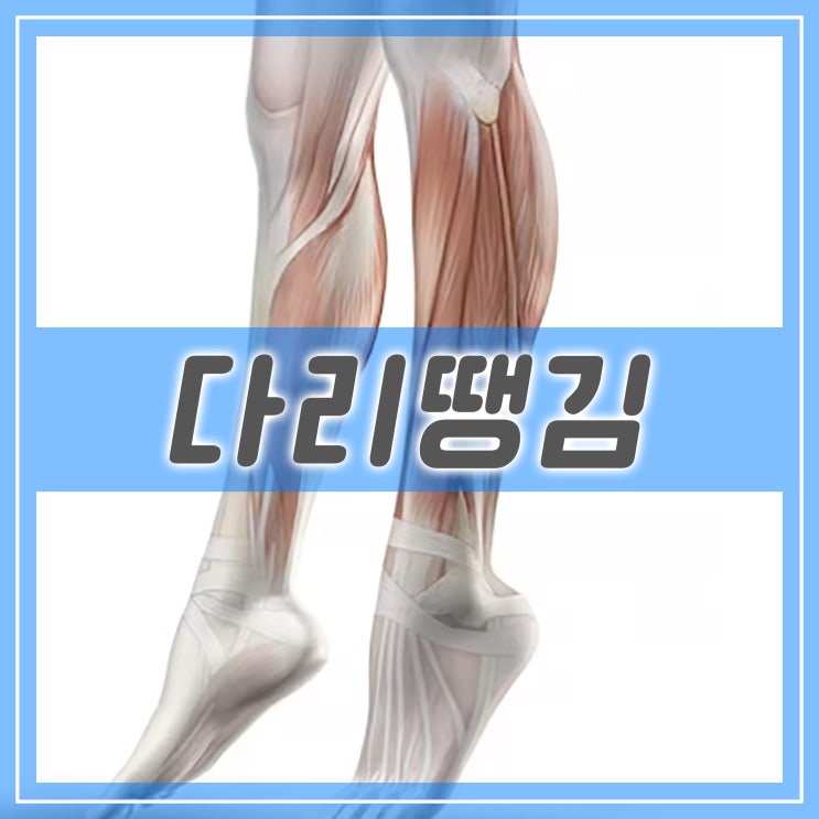  종아리 뒤쪽 통증과 다리 땡김 원인과 대처법