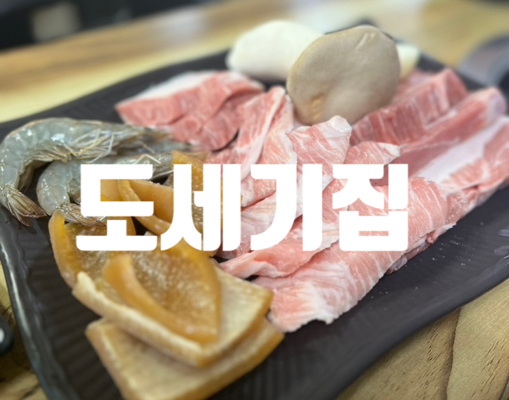  제주 일도지구맛집 도세기집