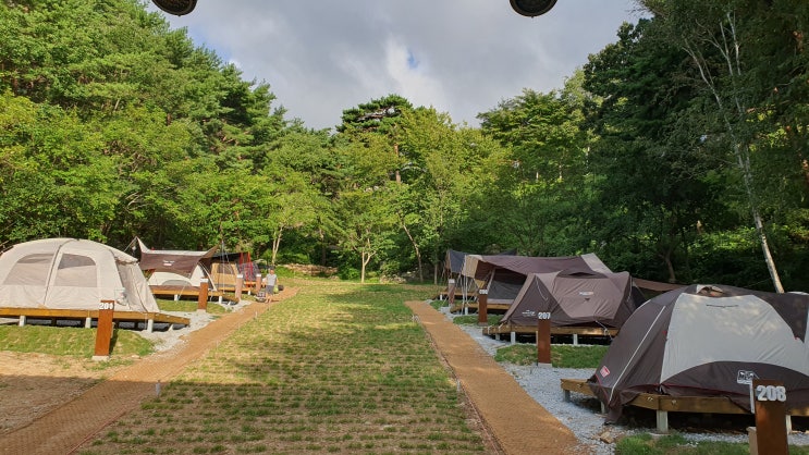  바다와 별을 보는 칠보산자연휴양림 야영장