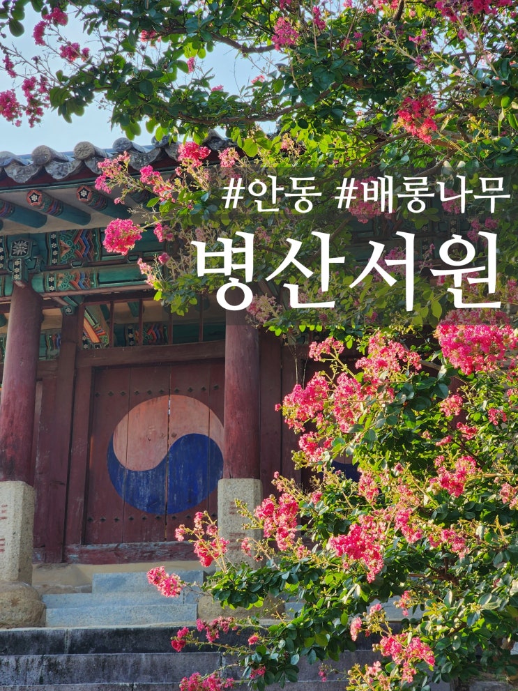  경북 안동 병산서원 배롱나무 명소 입장료, 주차, 포토존