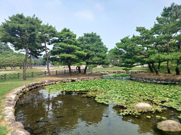 여주 돈까스 맛집 여주돈까스여행/까페 파돈까스 추천!!