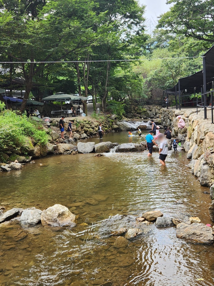  [화도읍] 수동계곡 - 숲속가든 (애견동반가능한 계곡놀이터)
