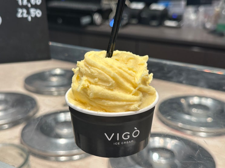  부다페스트에서 슬로베니아 류블랴나 FlIX 버스 이동, 류블랴나맛집, 젤라또맛집 vigo, 숙소 추천