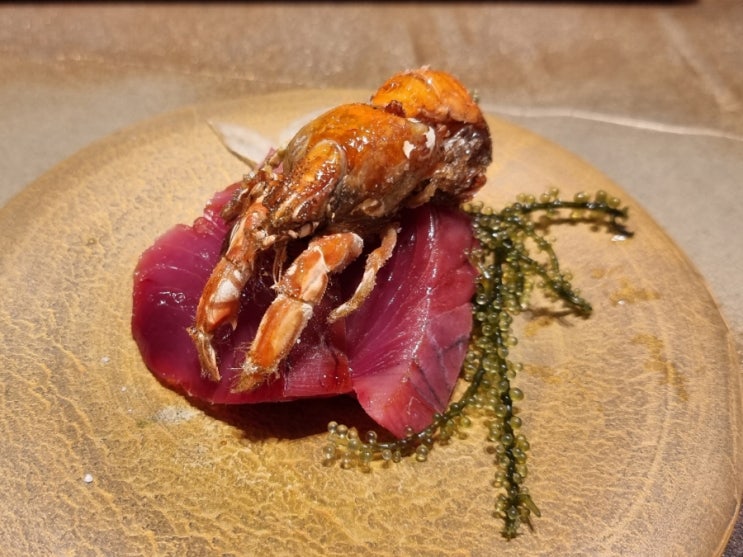  [기타큐슈] 테루즈시(teruzushi) (23.08) 