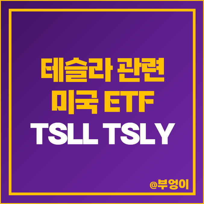 테슬라 주식 TSLL TSLY ETF 미국 TSLA 관련주 주가 배당수익률 테슬라 주식 TSLL TSLY ETF 미국 TSLA 관련주 주가 배당수익률