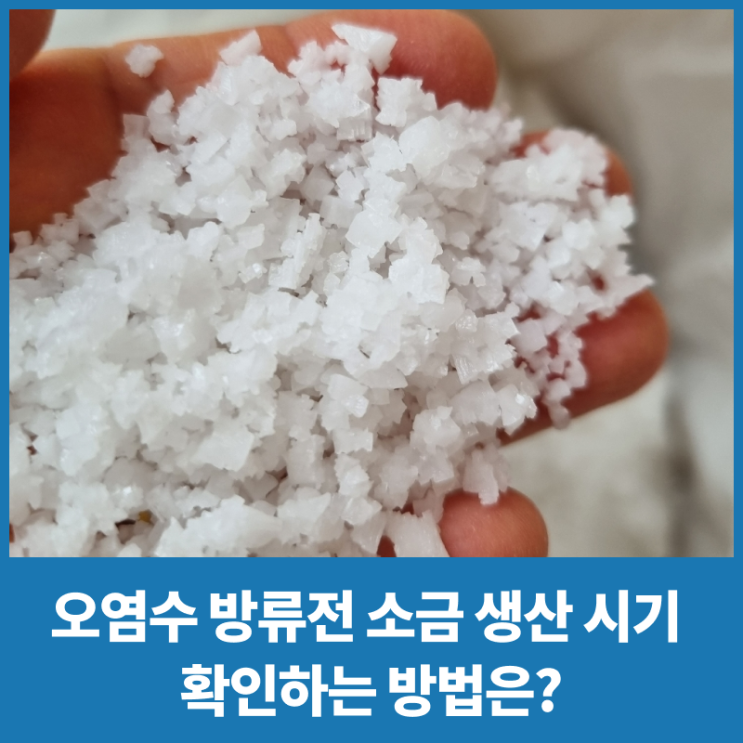  일본 오염수 방류로 높아진 소금값, 소금 생산 시기 확인하는 방법은?