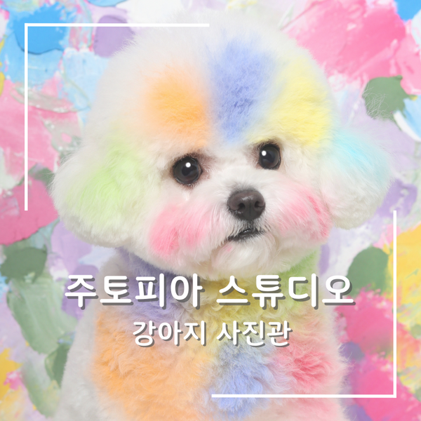 사진 2