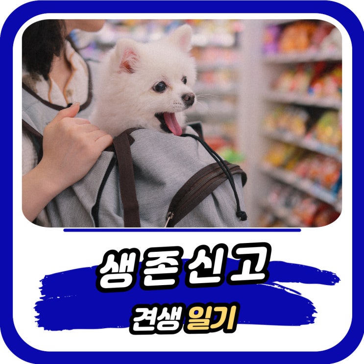  똑똑이 블로그 생존신고